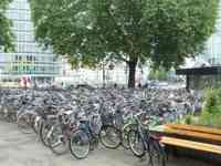 Several hundred bicycles