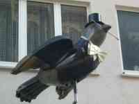 Sculpture of a sparrow in a tuxedo