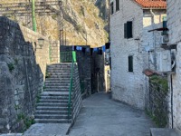 Kotor