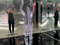 Forest of Us at Superblue Miami