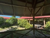 Scotchie’s, lunch on tour