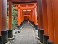 Fushimi Inari-taisha