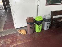 Recycling bins