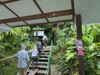 At Ceiba Tops Lodge