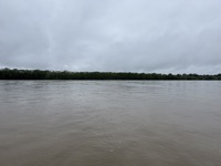 Napo river