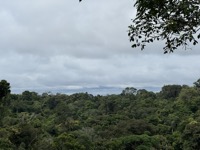 View from canopy walkways