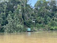 On Napo river