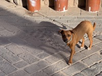 Pisac