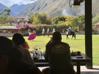 Lunch show