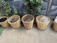 Undyed wool