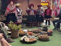 Wool demonstration