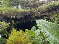 Lava tube entrance