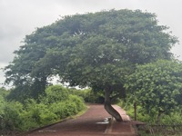 At Galápagos National Park