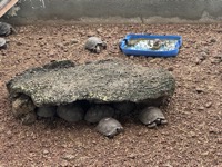 At Galápagos National Park