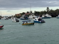At Puerto Ayora