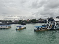 At Puerto Ayora