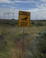 Iguana crossing sign by Baltra airport
