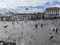 Plaza de San Francisco