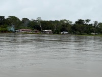 Buildings along the Amazon